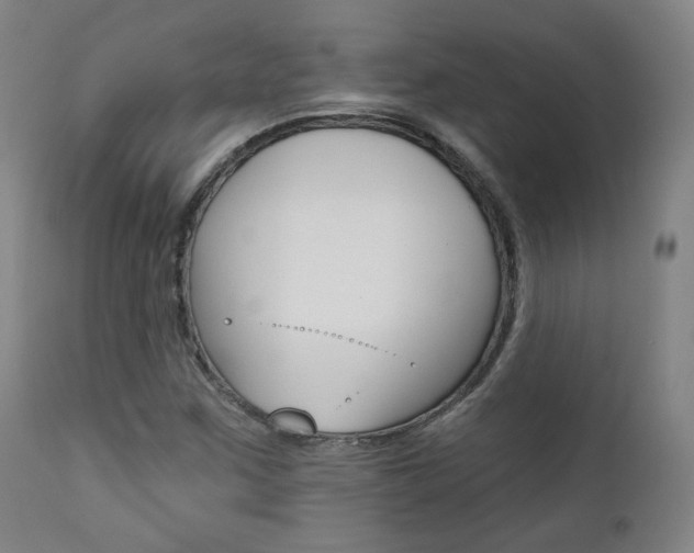 X0000111381259200907100929