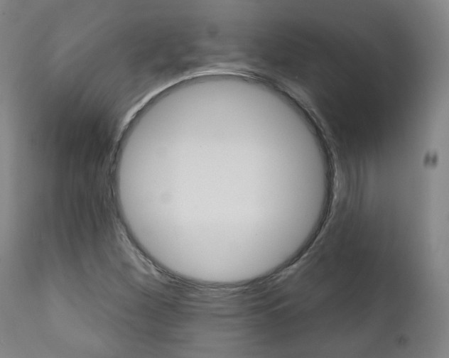 X0000111381260200907100929
