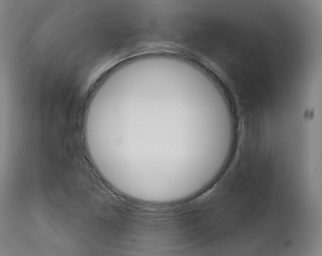 X0000111381261200907100929