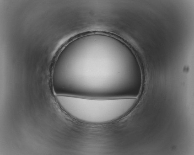 X0000111381264200907100929