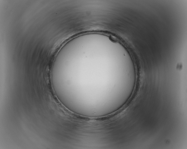 X0000111381265200907100929