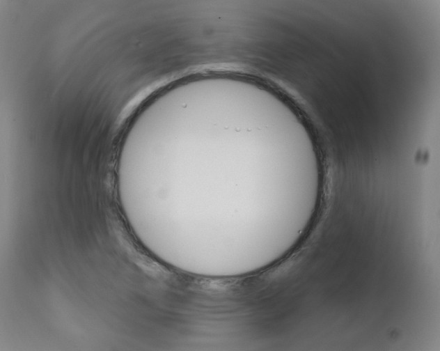 X0000111381266200907100929