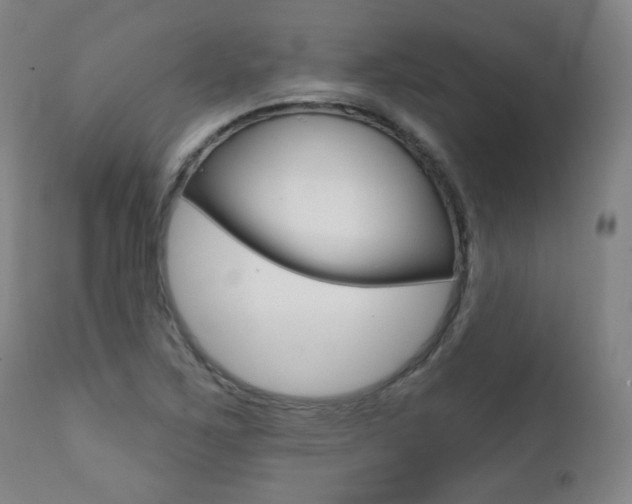 X0000111381267200907100929