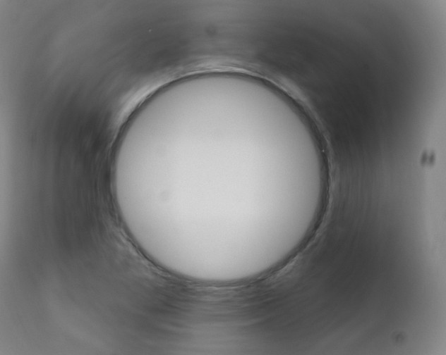 X0000111381269200907100929