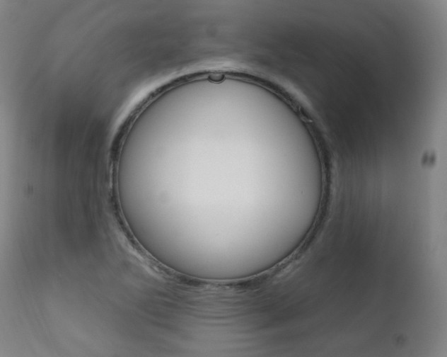 X0000111381270200907100929