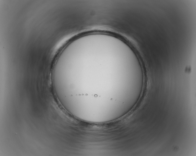 X0000111381271200907100929