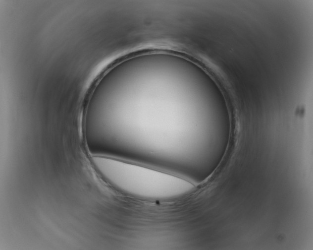 X0000111381272200907100929