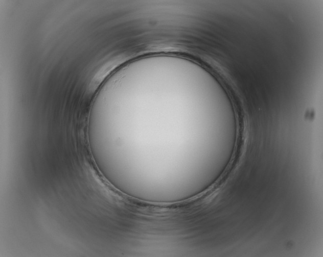 X0000111381273200907100929