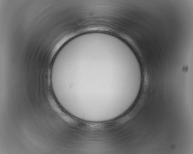 X0000111381274200907100929