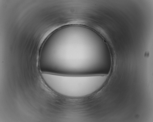 X0000111381276200907100929