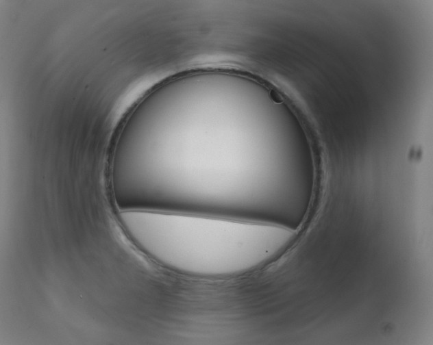 X0000111381277200907100929