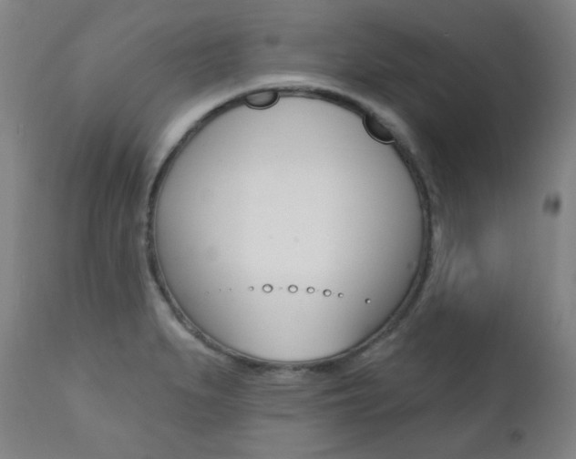 X0000111381279200907100929