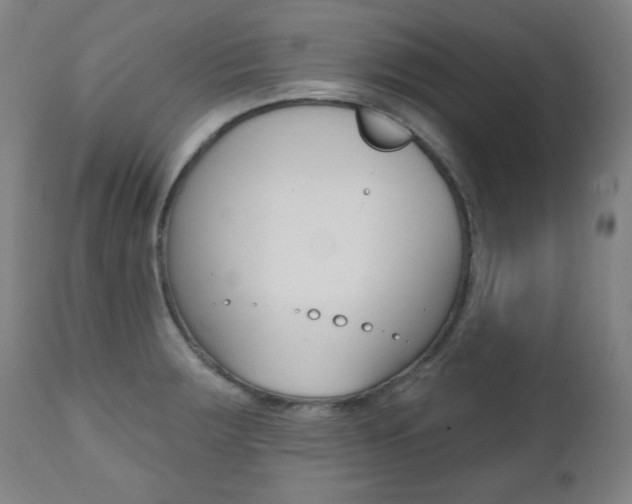 X0000111381283200907100929