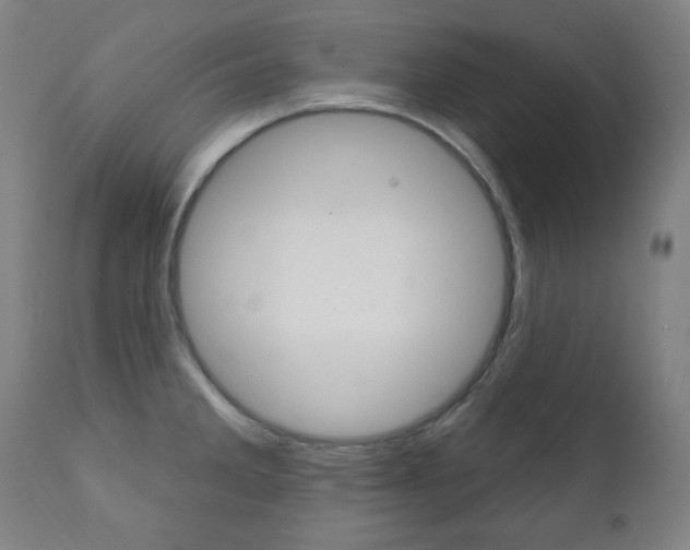 X0000111381285200907100929