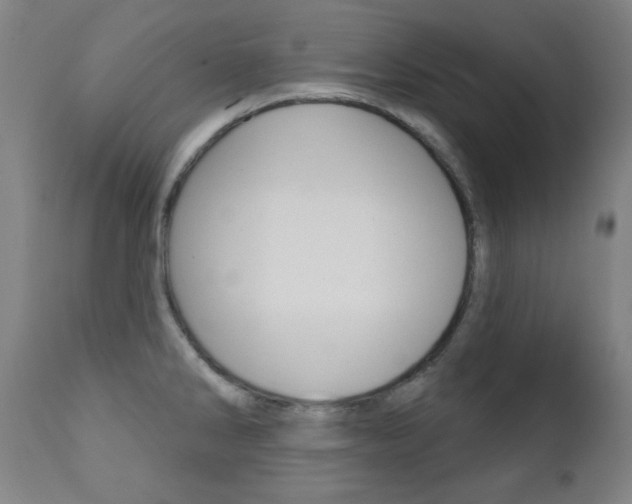 X0000111381286200907100929