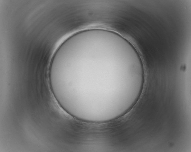 X0000111381288200907100928