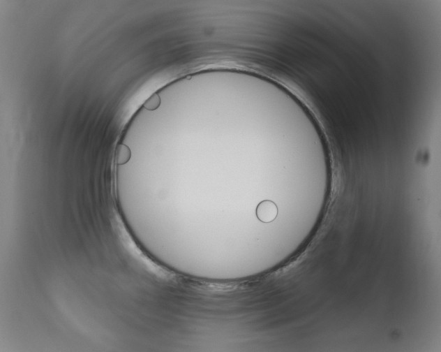X0000111381290200907100928