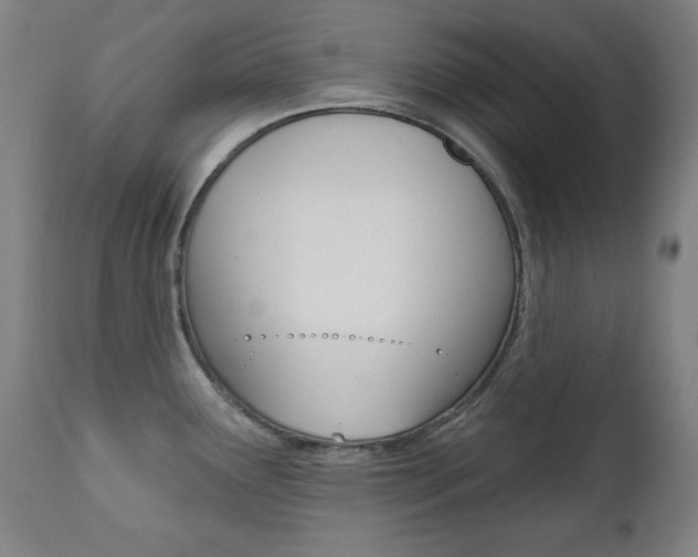 X0000111381291200907100928