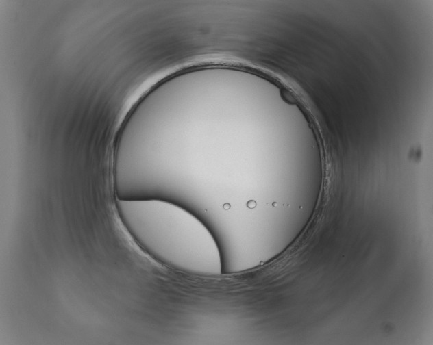 X0000111381295200907100928