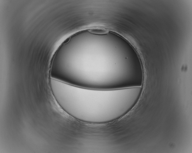 X0000111381296200907100928