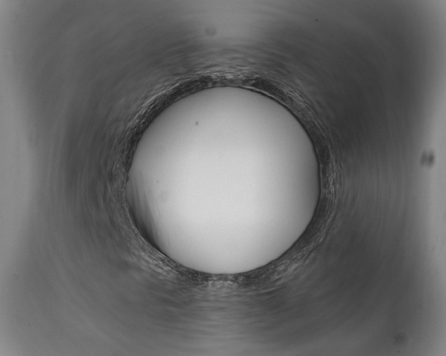 X0000111381297200907100928