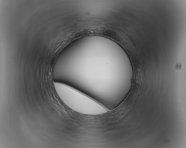 X0000111381298200907100928