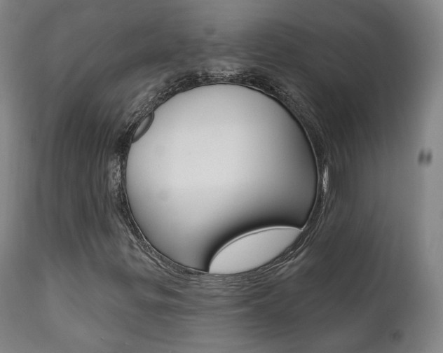 X0000111381299200907100928