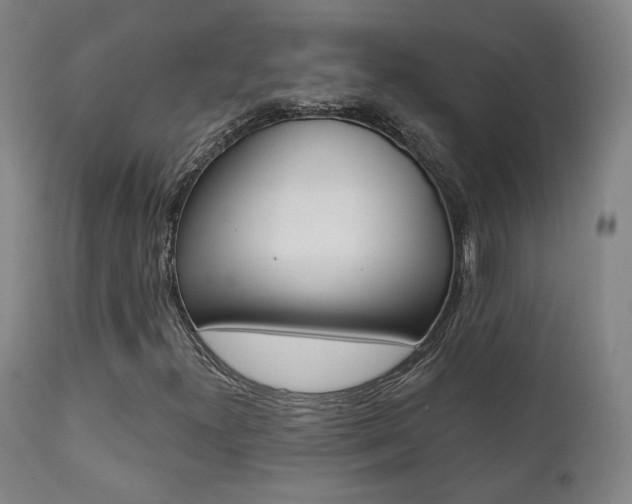 X0000111381300200907100928