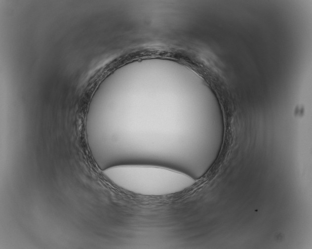 X0000111381302200907100928