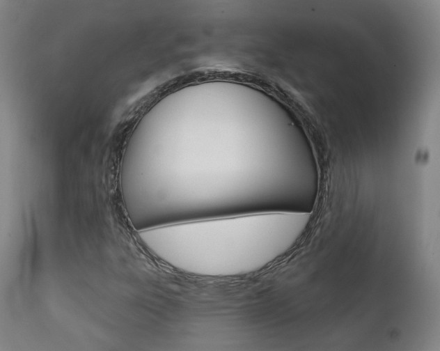 X0000111381303200907100928