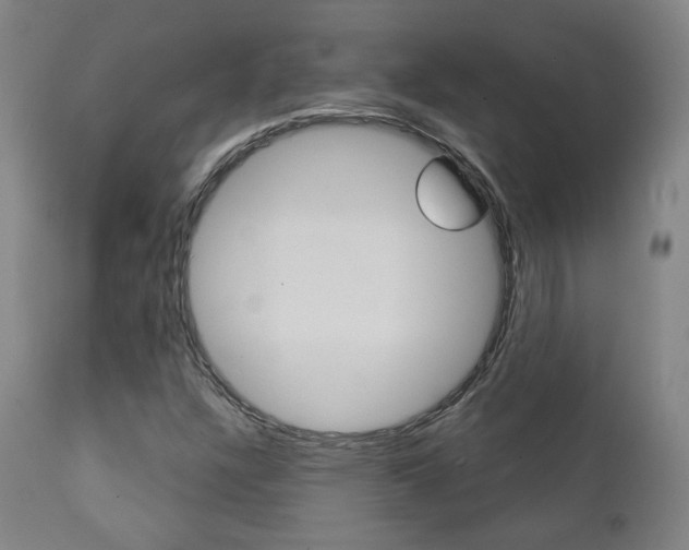 X0000111381304200907100928