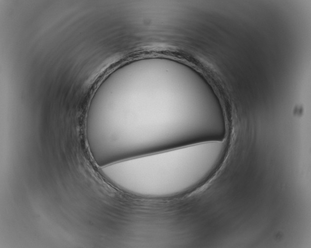 X0000111381305200907100928