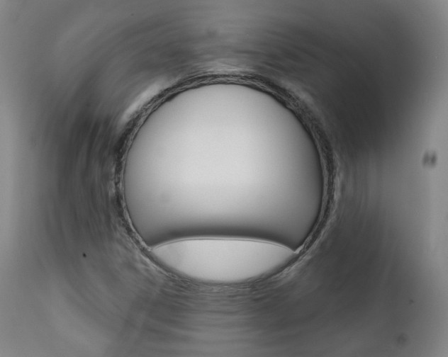 X0000111381306200907100928