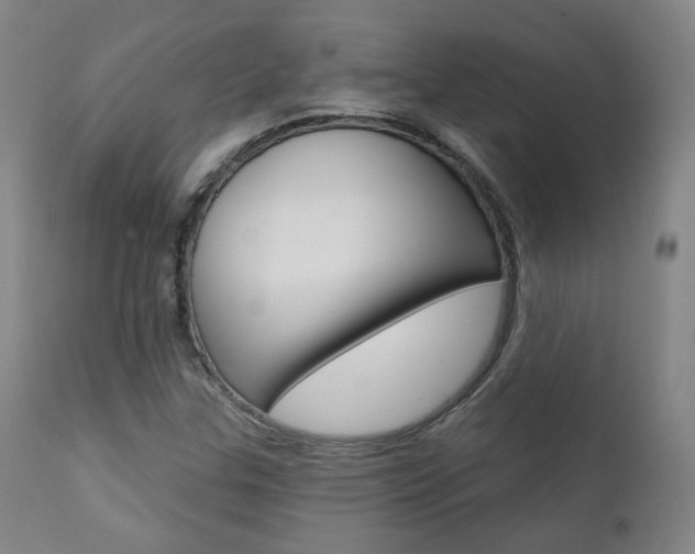 X0000111381307200907100928