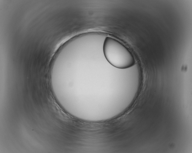 X0000111381308200907100928