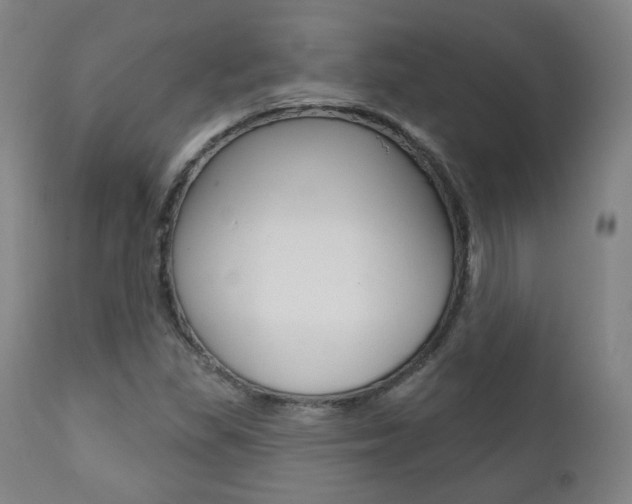 X0000111381309200907100928
