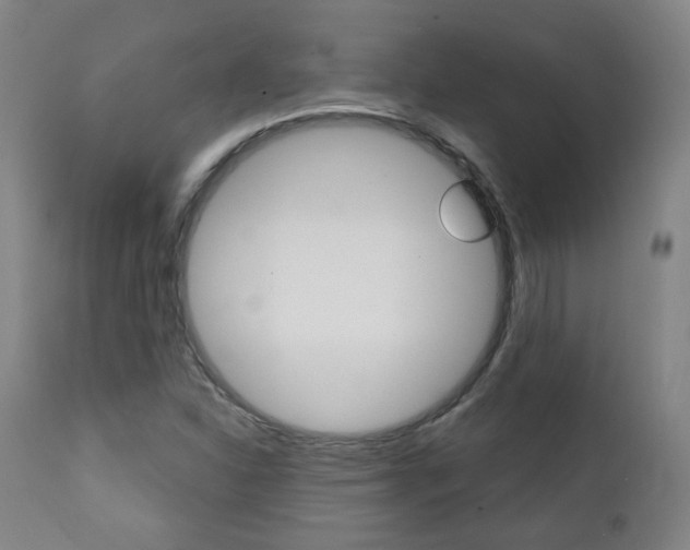 X0000111381310200907100928