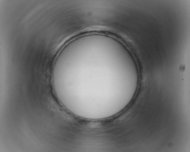 X0000111381313200907100928