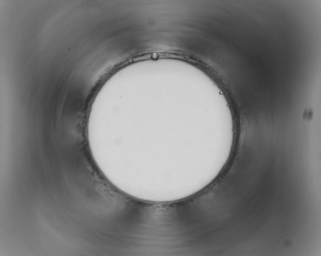 X0000111381314200907100928