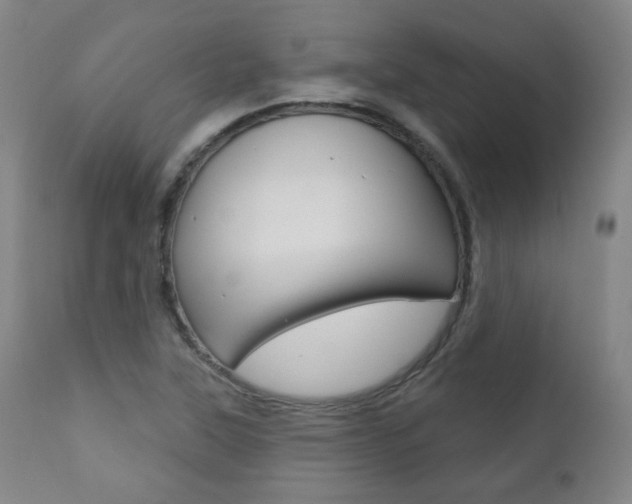 X0000111381315200907100928