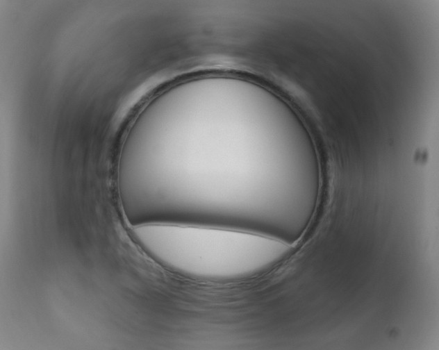 X0000111381318200907100928