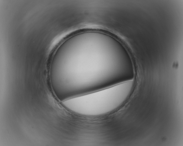 X0000111381319200907100928
