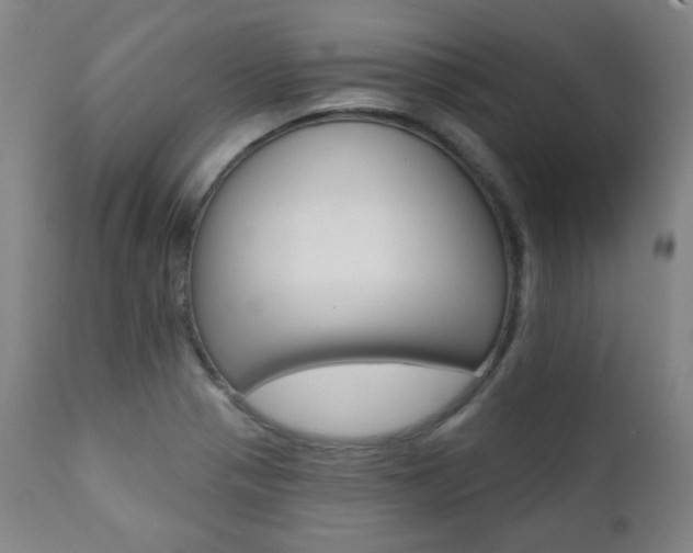 X0000111381321200907100928