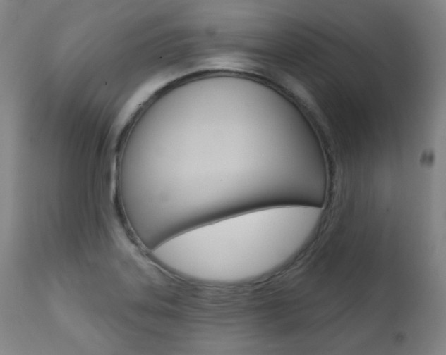 X0000111381323200907100928