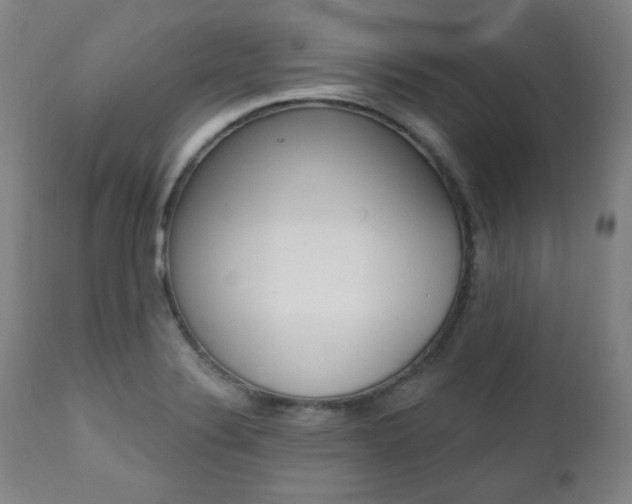 X0000111381324200907100928