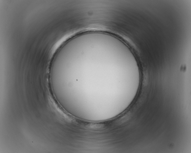 X0000111381325200907100928