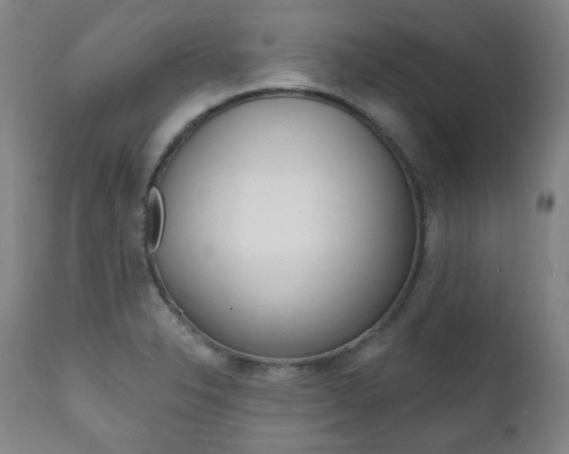 X0000111381326200907100928