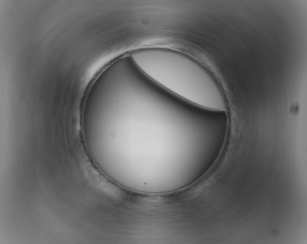 X0000111381328200907100928