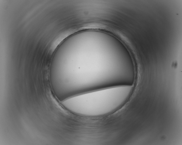 X0000111381329200907100928