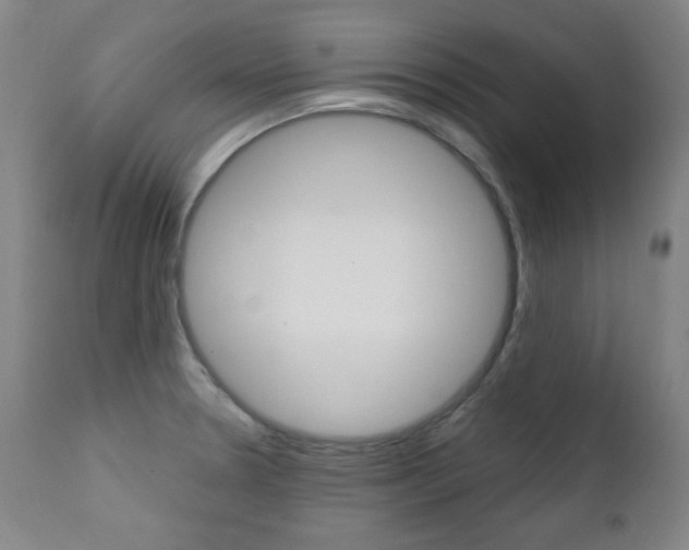 X0000111381330200907100928